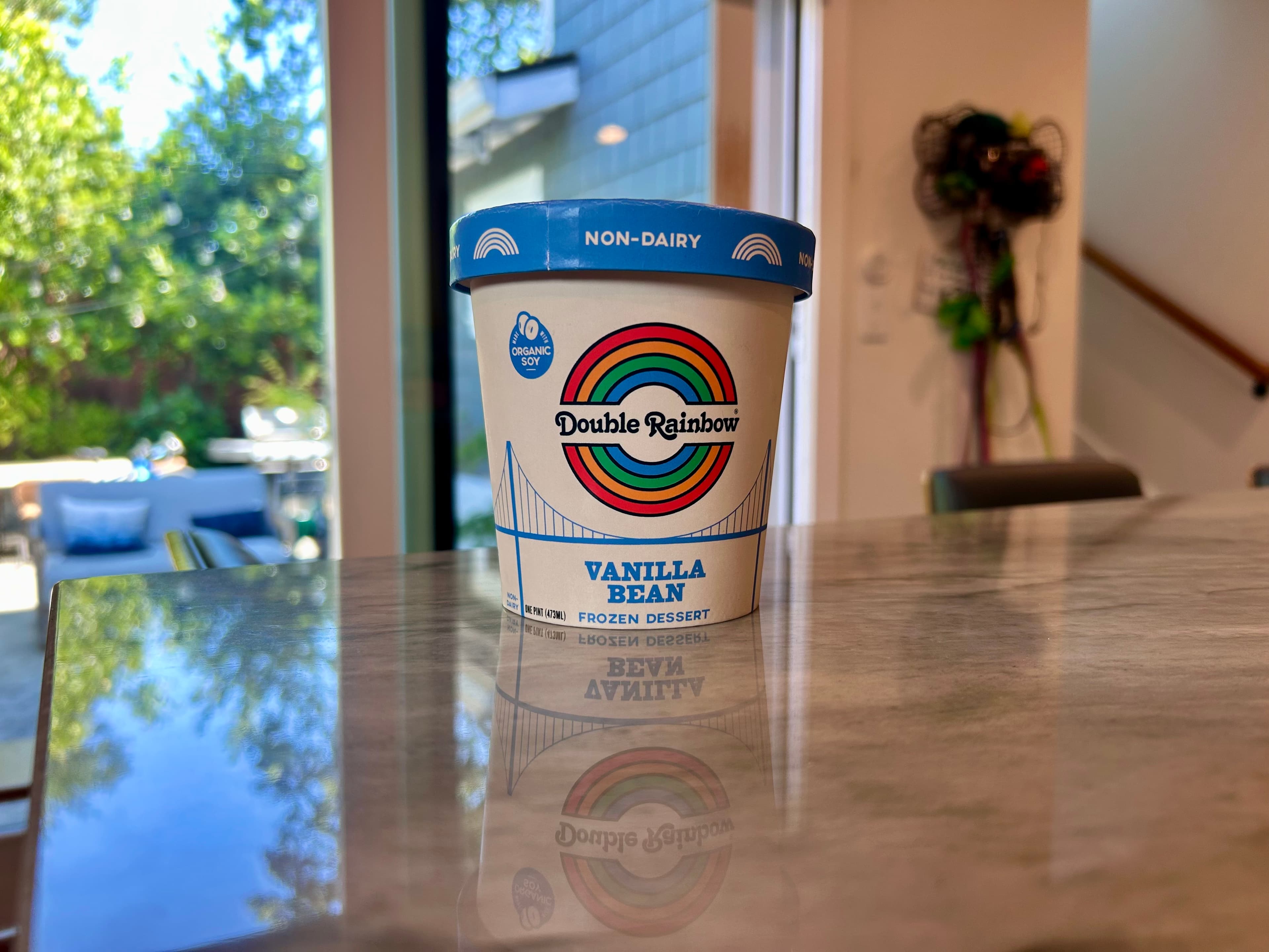 Double Rainbow Vanilla Bean Soy dairy-free ice cream pint